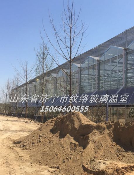 山東省濟寧市紋絡(luò)玻璃溫室